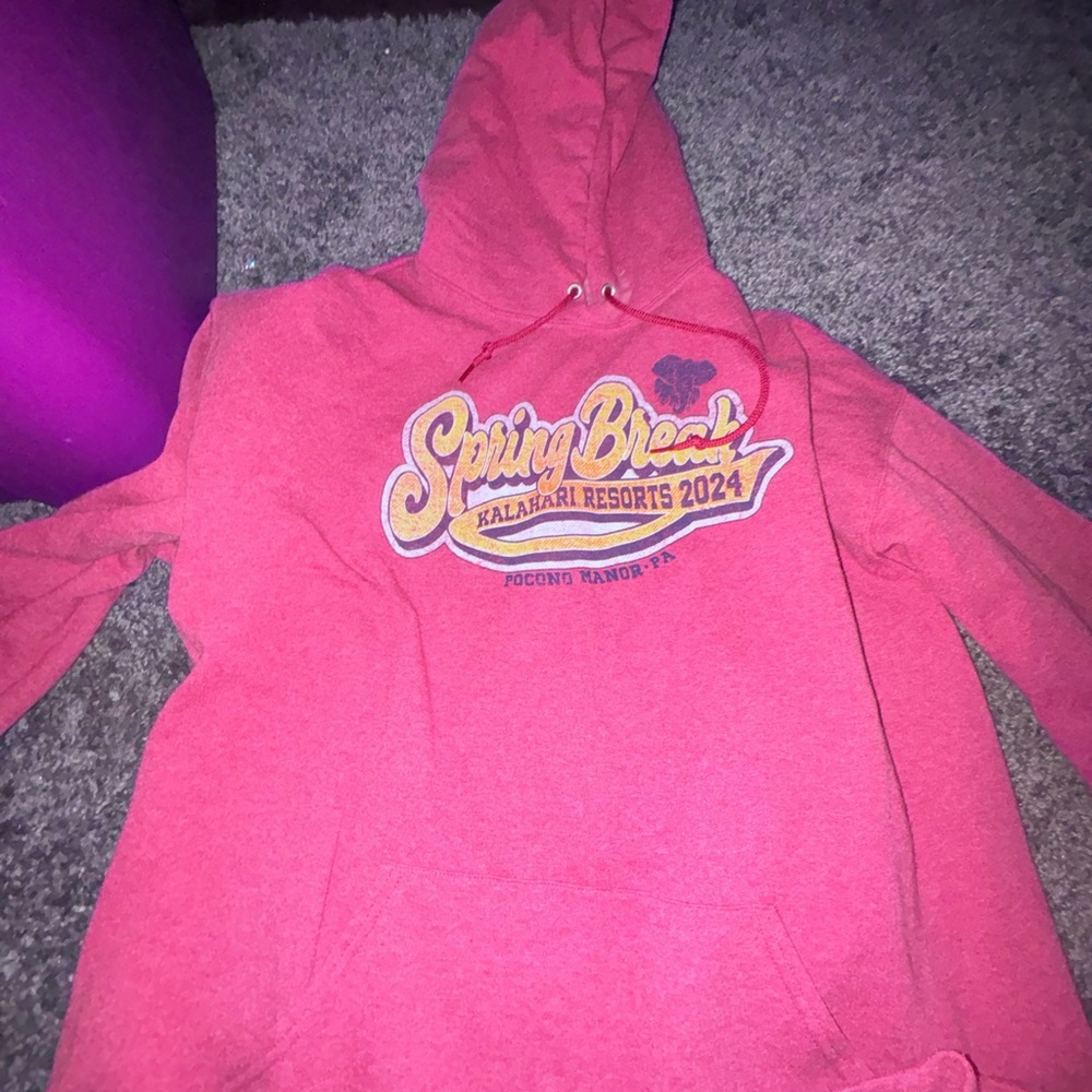 Red Verzees Graphic Hoodie